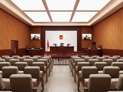 现代党政机关 法院