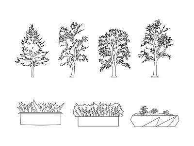 综合植物图库 植物立面图库 施工图