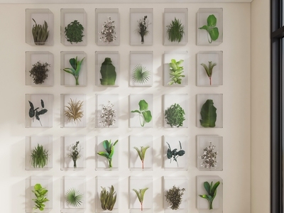 现代挂件 植物装饰墙 植物展示墙 植物架背景墙 植物背景墙绿植墙 绿植挂画墙饰