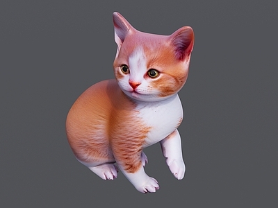 家禽动物 黄色小猫咪