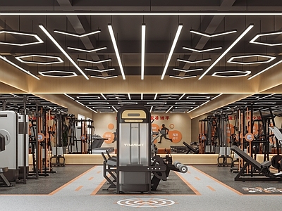 现代健身房 健身器材