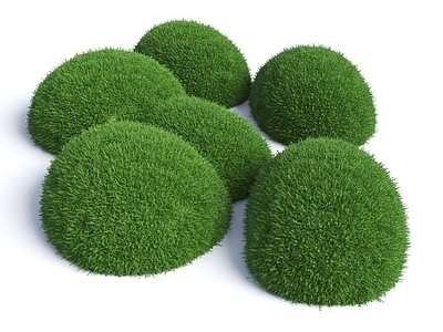 苔藓 苔藓球 植物球 灌木球 苔藓组合 苔藓