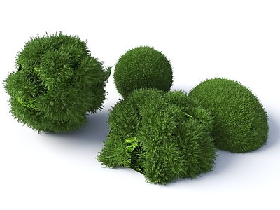 苔藓 苔藓球 植物球 灌木球 苔藓组合 苔藓