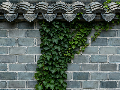 中式新中式绿植墙 中式青瓦 砖墙 植物砖墙 老转墙 新中式青瓦砖墙