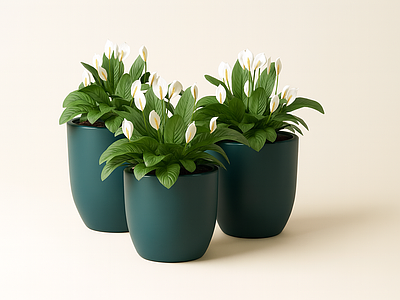 植物组合 盆栽组合 植物 陶土植物 盆栽
