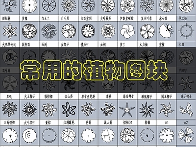 现代综合植物图库 植物平面图库 施工图