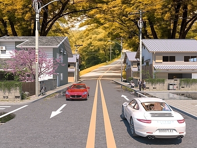 现代乡村景观 城农村街道