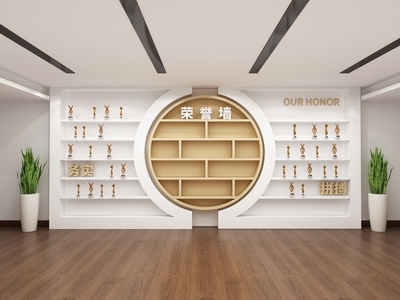 党建文化墙荣誉墙奖杯奖章展示柜