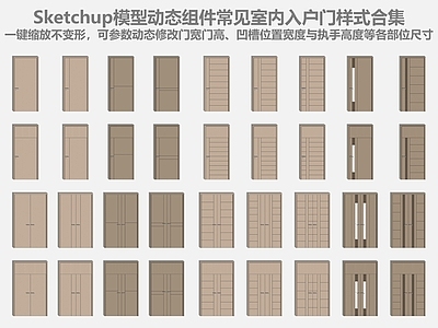 现代简约其他门 入户门 单开门 双开门 动态组件 参数控制