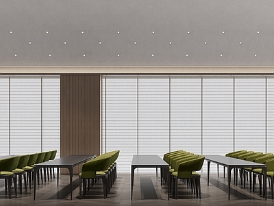 现代其他通用空间 酒店会议室 酒店报告厅