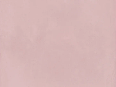 现代法式其他微水泥 花簇粉