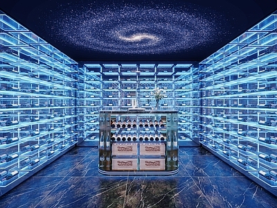 现代轻奢烟酒店 地下室酒窖展示