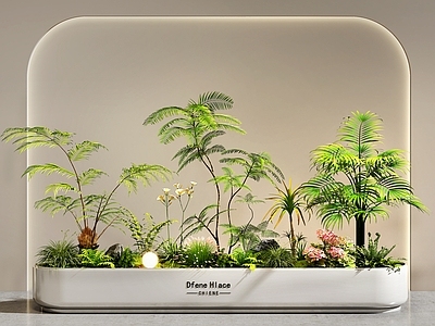 植物堆 室内景观 庭院景观 花坛花池 绿植组合 景观造景