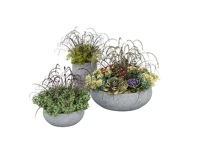 现代花盆 户外植物 装饰盆栽 组合