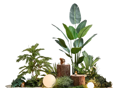 现代其它HDR 免扣植物花草 免扣植物灌木