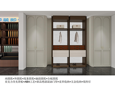 法式北欧衣帽间 法式衣帽间 圆弧 施工图