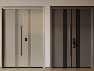 现代中古双开门 极简平开门 入户门 防盗门 通顶对开门 大门