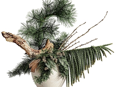 盆栽 松树 现代花卉 盆栽盆景 松树盆栽 景观摆件