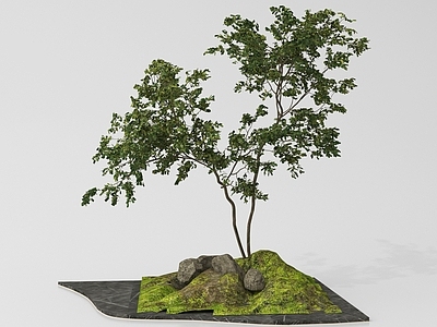 现代其他景观小品 景观造景 现代庭院景观小品 植物景观