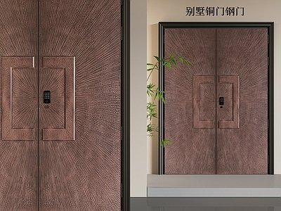现代双开门 现代别墅铜门 防盗门 铁门 金属双开门