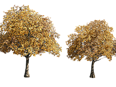 现代其它HDR 免扣植物树木 植物树木乔木