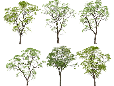 现代其它HDR 免扣植物 植物树木乔木