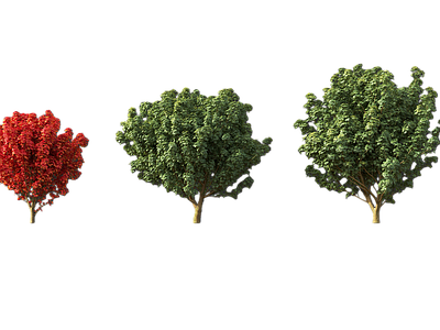 现代其它HDR 免扣植物 植物树木乔木