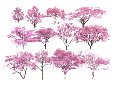 现代其它HDR 免扣植物 植物树木乔木