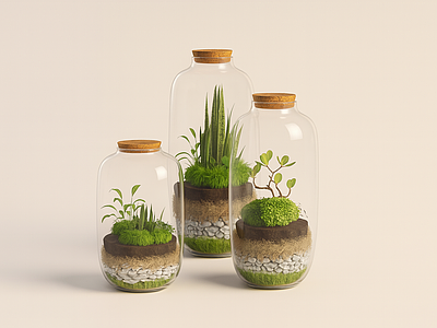 植物组合 生态瓶 植物 盆栽组合 玻璃植物瓶 多肉