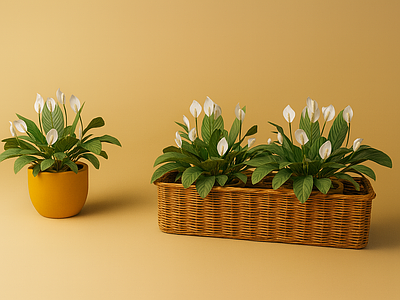 植物组合 盆栽组合 植物 花箱 植物组合