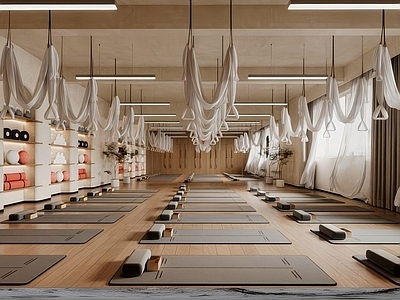 现代瑜伽室 现代瑜伽教室