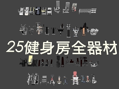 现代健身房 健身器械 健身房 健身