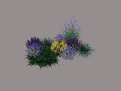 花草 花丛 花坛花草