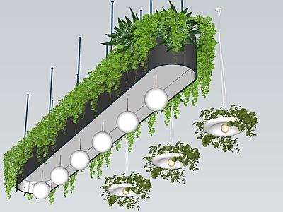 植物组合 盆栽组合 树池植物组合