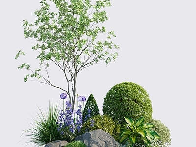 现代简约庭院 庭院植物组合 懒人养护 四季常青灌木 石菖蒲 狗尾巴草