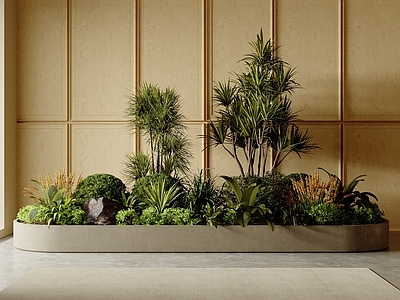 植物堆 其他绿植 室内植物 景观造景 庭院小品