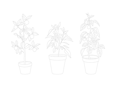 现代绿植 盆摘植物立面图 施工图