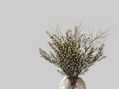 现代花艺 花卉