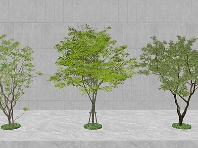 乔木 3d景观树 景观树 3d乔木