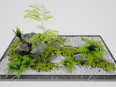 植物组合 现代庭院苔藓景观
