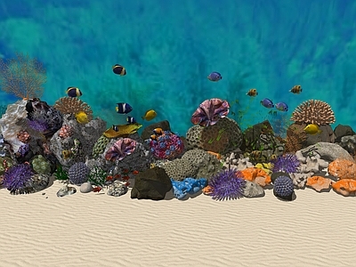 现代鱼缸 海底海鱼世界 各类珊瑚 海底鱼缸造景