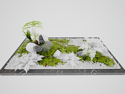 植物组合 现代庭院苔藓景观