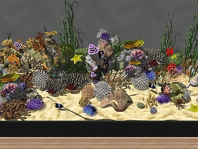 现代鱼缸 海底世界组合 海洋生物 海底珊瑚组合 各类珊瑚组合
