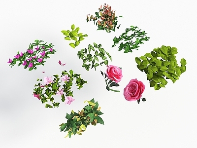 花草组合 花朵 灌木 树叶 玫瑰花 花卉