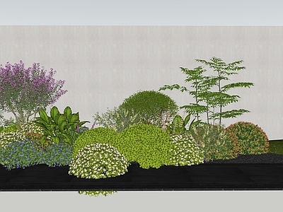 花草 花境 植物组团