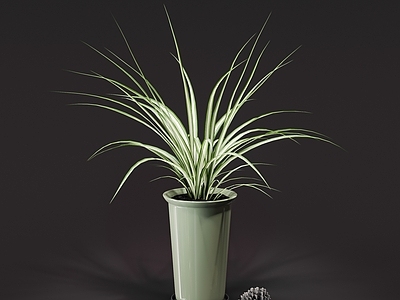 新中式绿植摆件 绿植摆件 盆栽 吊兰