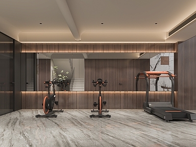 现代健身房 别墅健身房