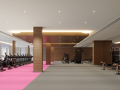 现代健身房 健身房