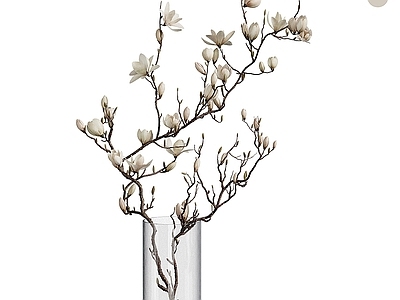 花 花草