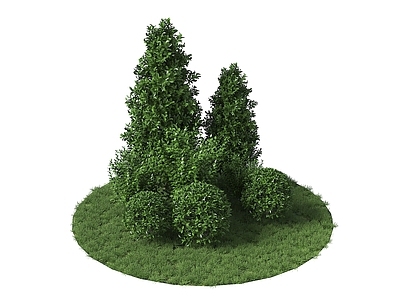 植物堆 组团灌木 植物堆 灌木丛 绿化带植物 球形植物